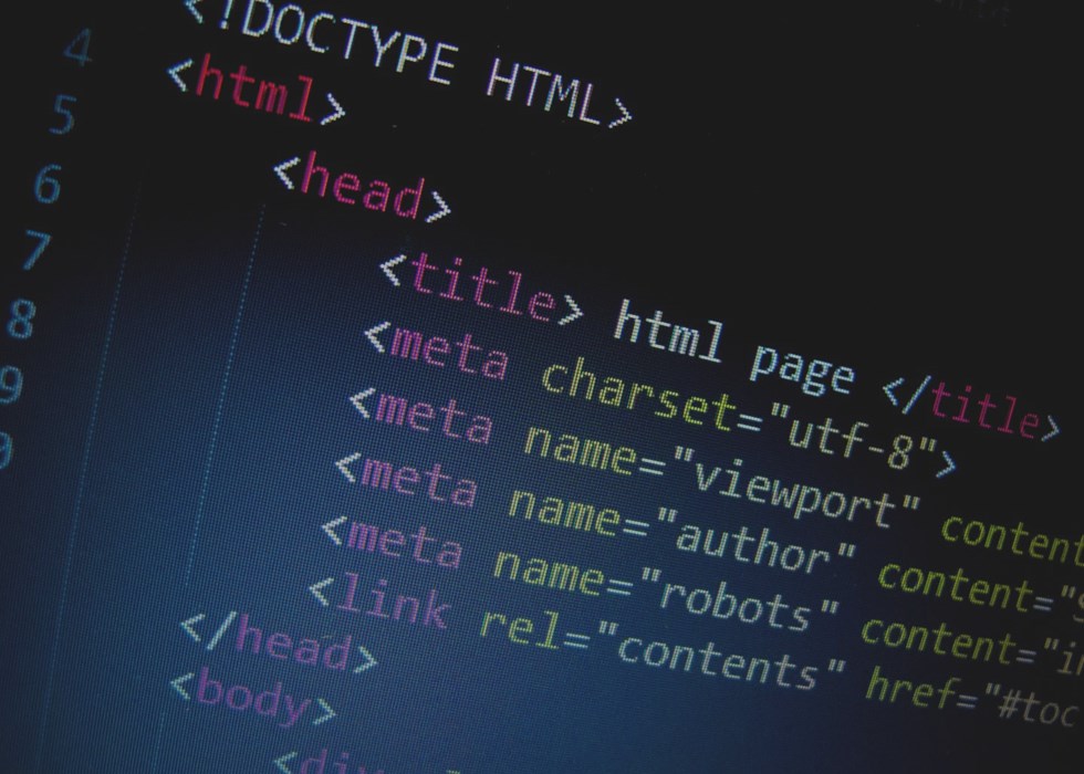 Vacancy for Web Developer