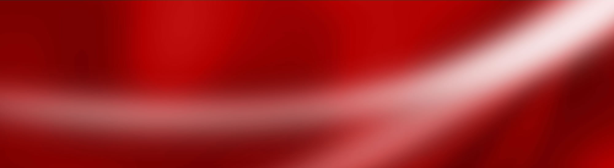 Neriku Catering | CasaSoft