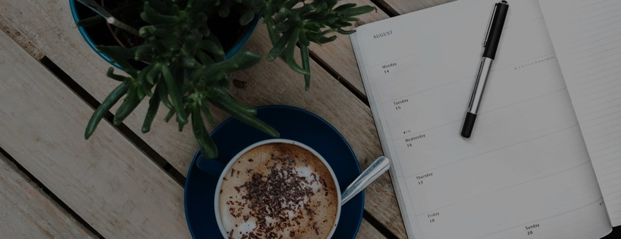Umbraco Content Management System Development | CasaSoft