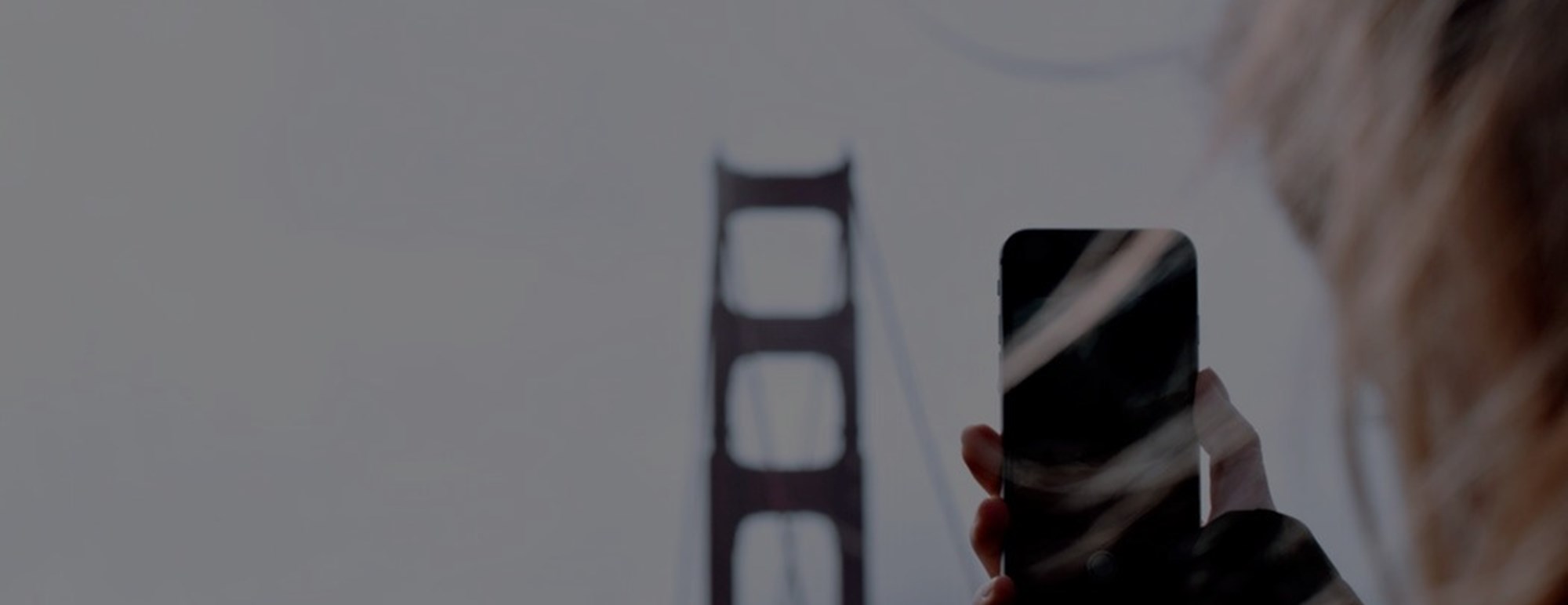 Information Technology and Telecommunications Web &amp; Software Development Malta