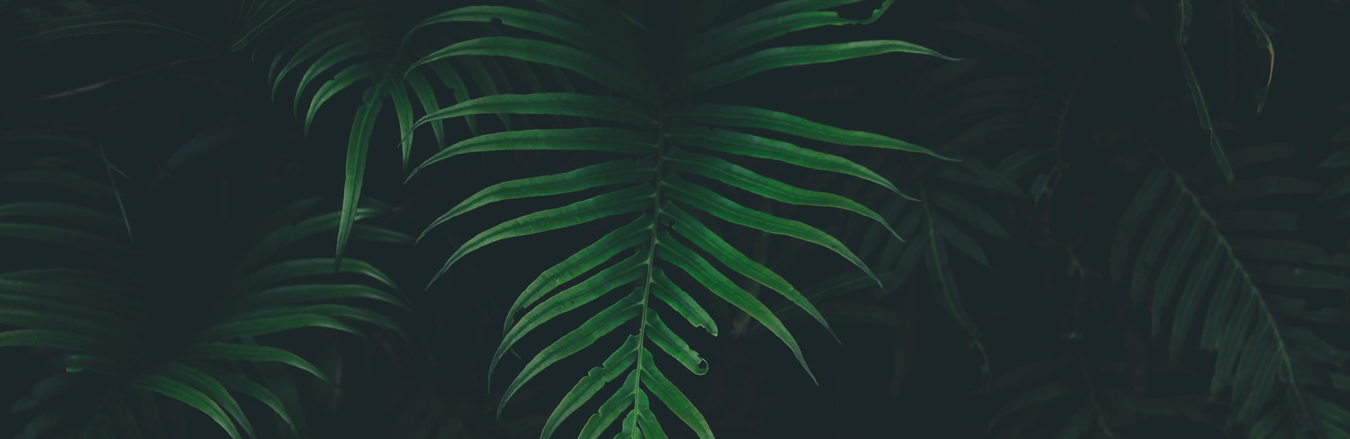 CasaSoft's latest achievement featured on the Times of Malta &amp; Malta Independent | CasaSoft Ltd. Malta